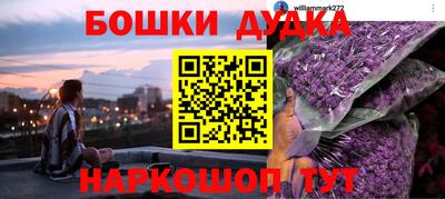 крисы Лесосибирск