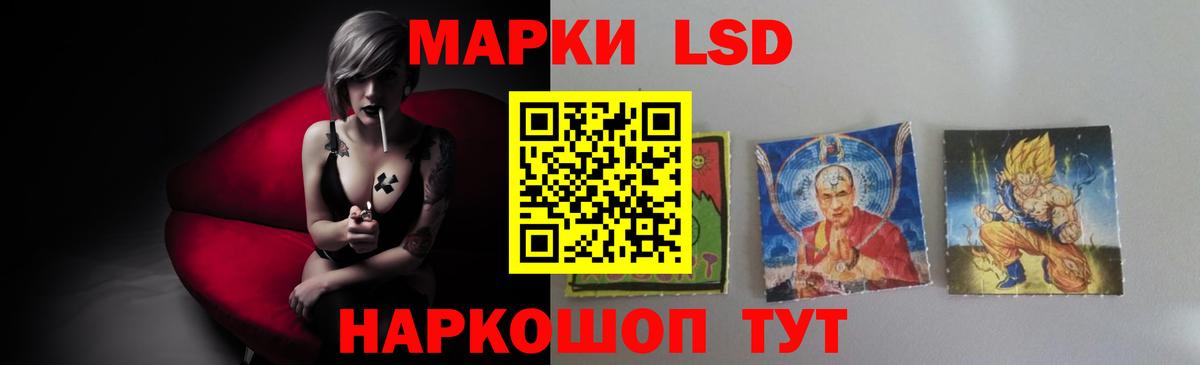Тельмана      Вход с VPN  ЛСД экстази кислота 