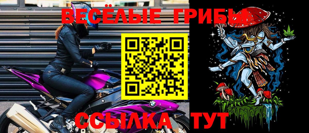 Псилоцибиновые грибы ЛСД Тельмана